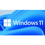 Windows 11